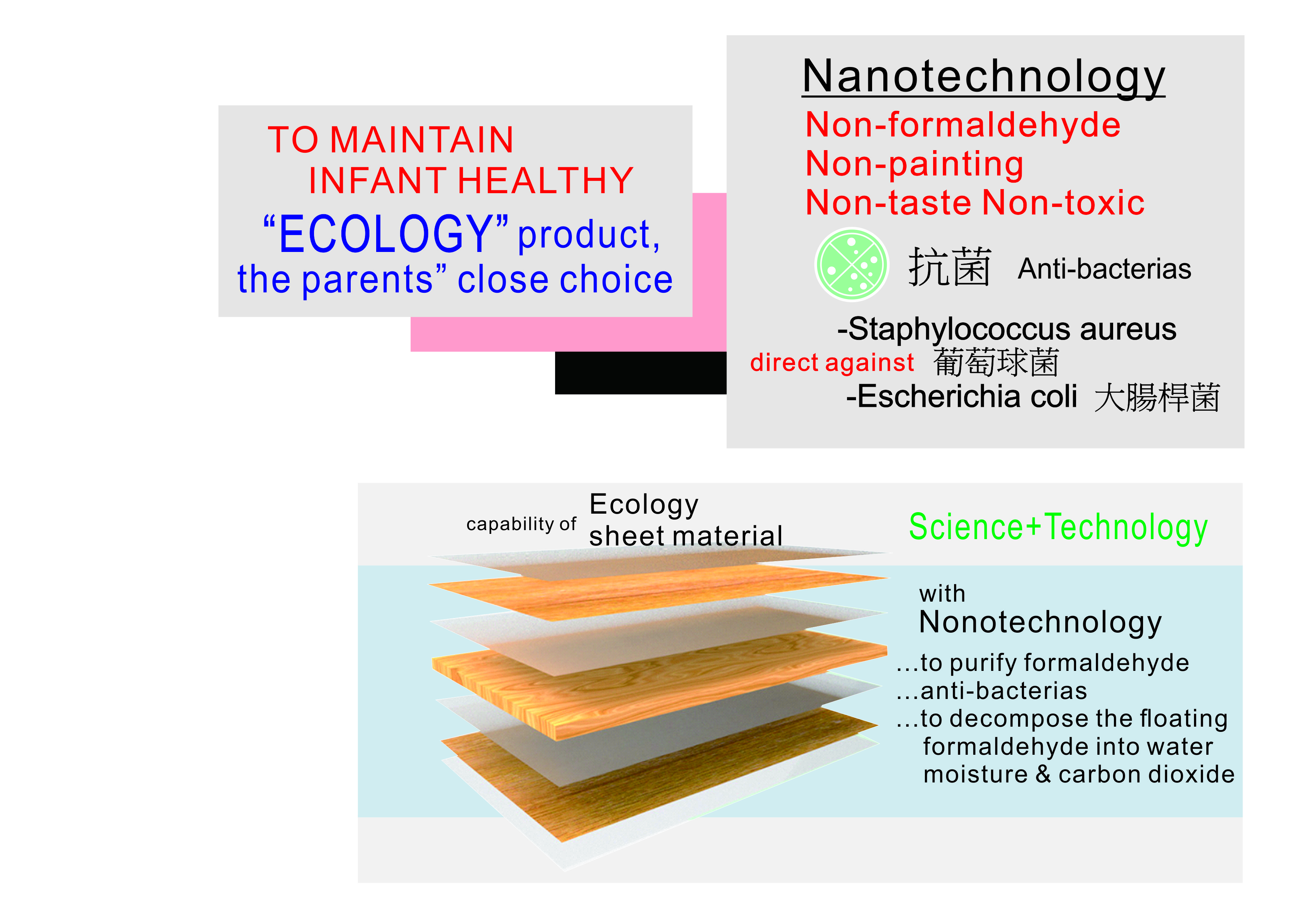 ecology-1e.jpg