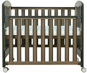 生態系列--ECO-3 柚木{43長x24.5闊x39高}寸